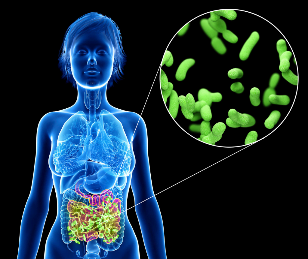 harnessing-the-anti-inflammatory-powers-of-gut-bacteria-for-better