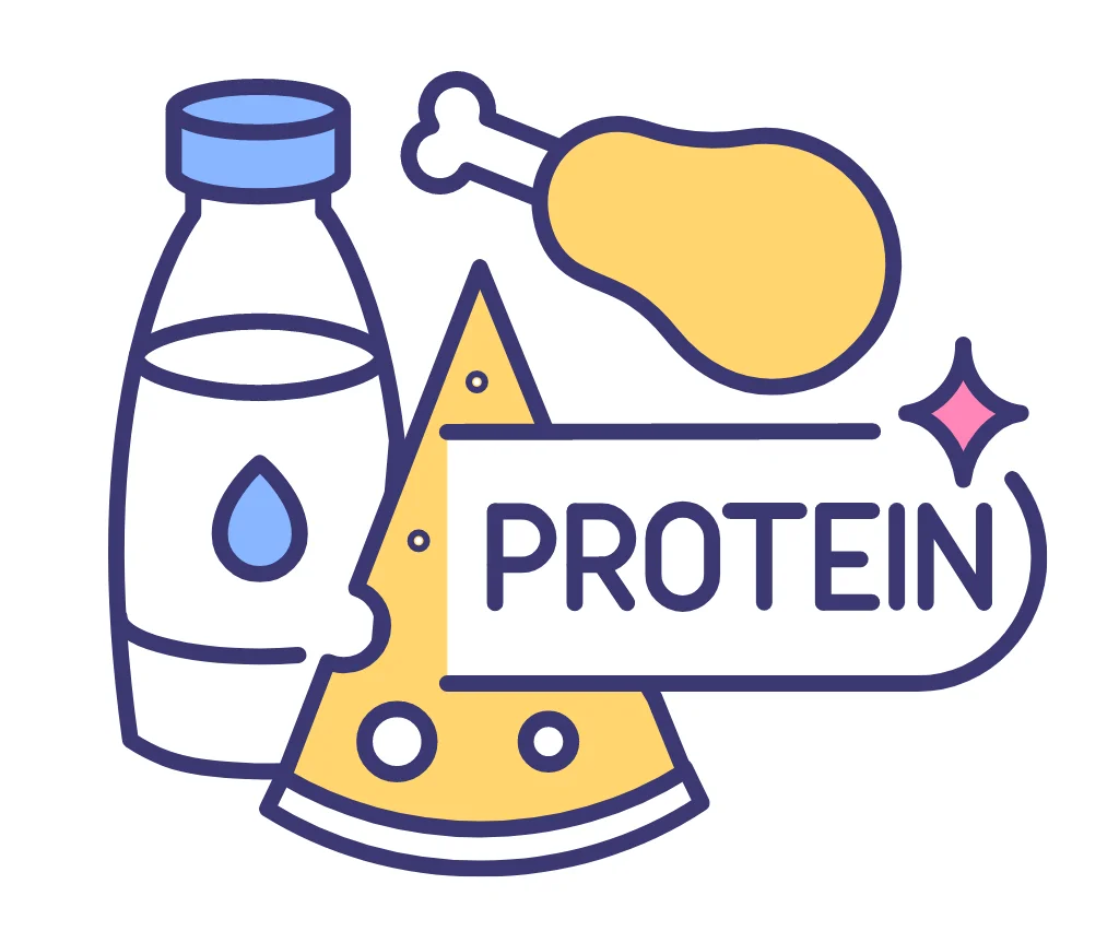 Illustration of protein-rich foods including milk, cheese, and chicken with the word Protein — benefits of protein